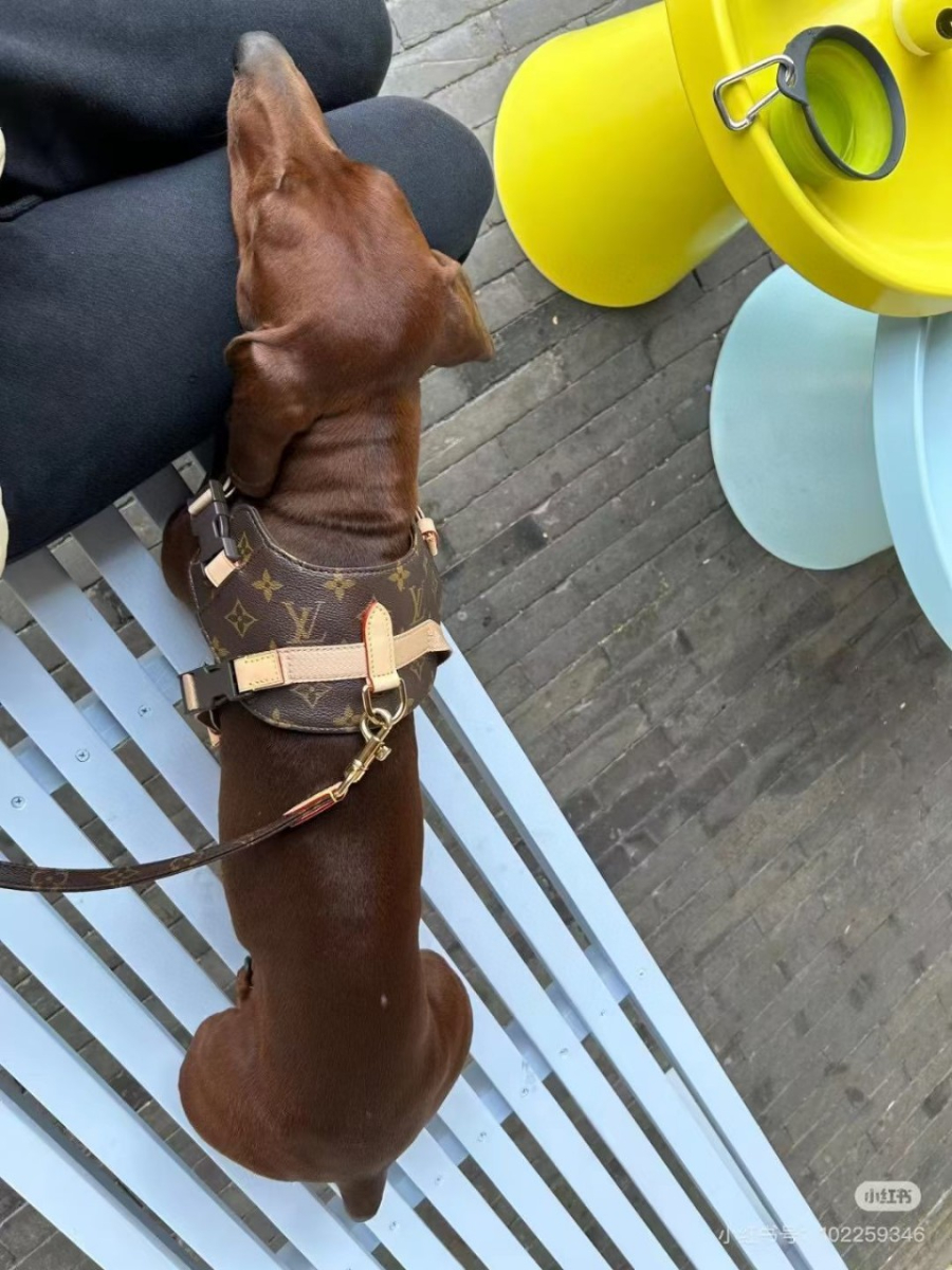 더미러THE Mirror_사진_20260120_10.jpg