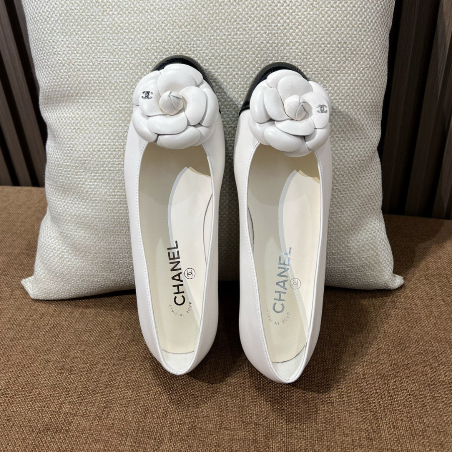 더미러THE Mirror_사진_20260214_2.jpg