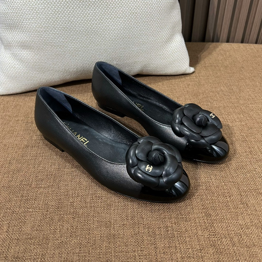 더미러THE Mirror_사진_20260214_1.jpg