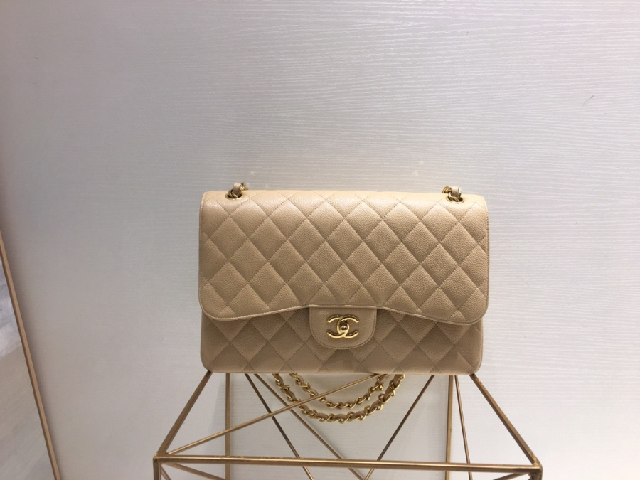 더미러THE Mirror_사진_20260308_1.jpg