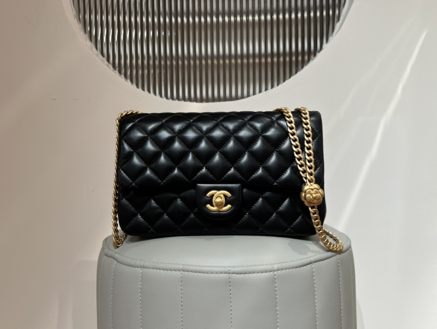 더미러THE Mirror_사진_20260308_1.jpg