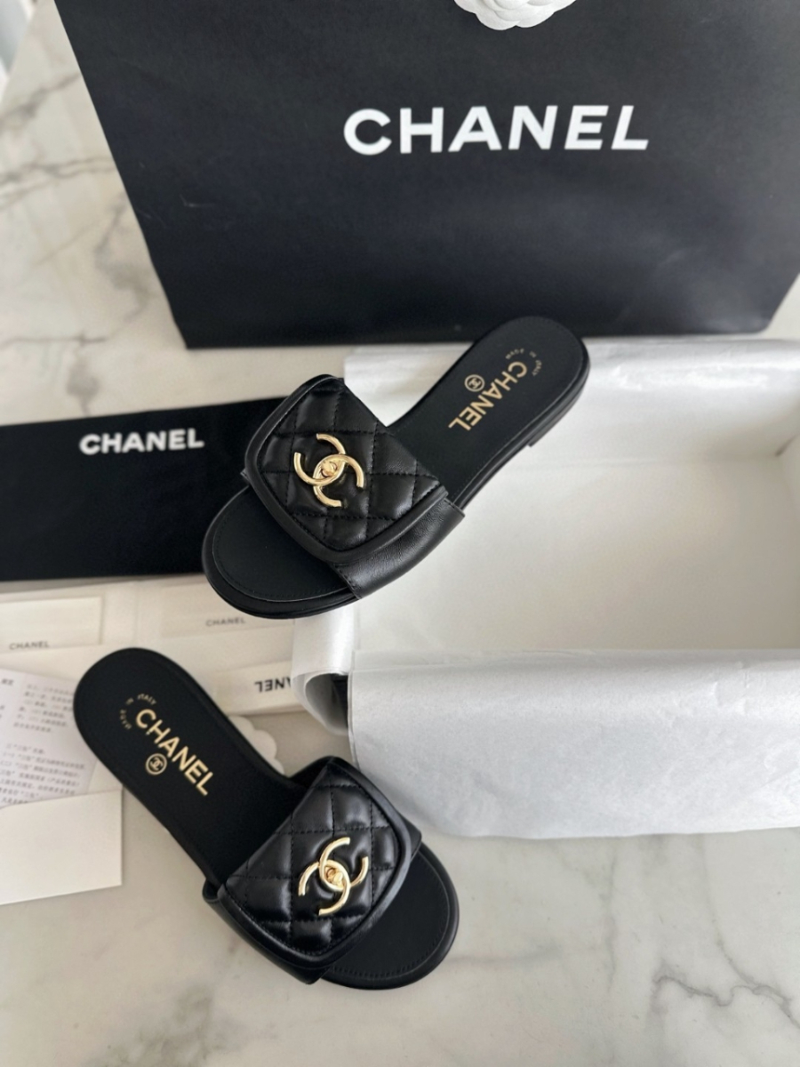 더미러THE Mirror_사진_20260316_2.jpg