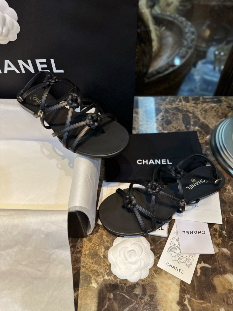 더미러THE Mirror_사진_20260316_1.jpg