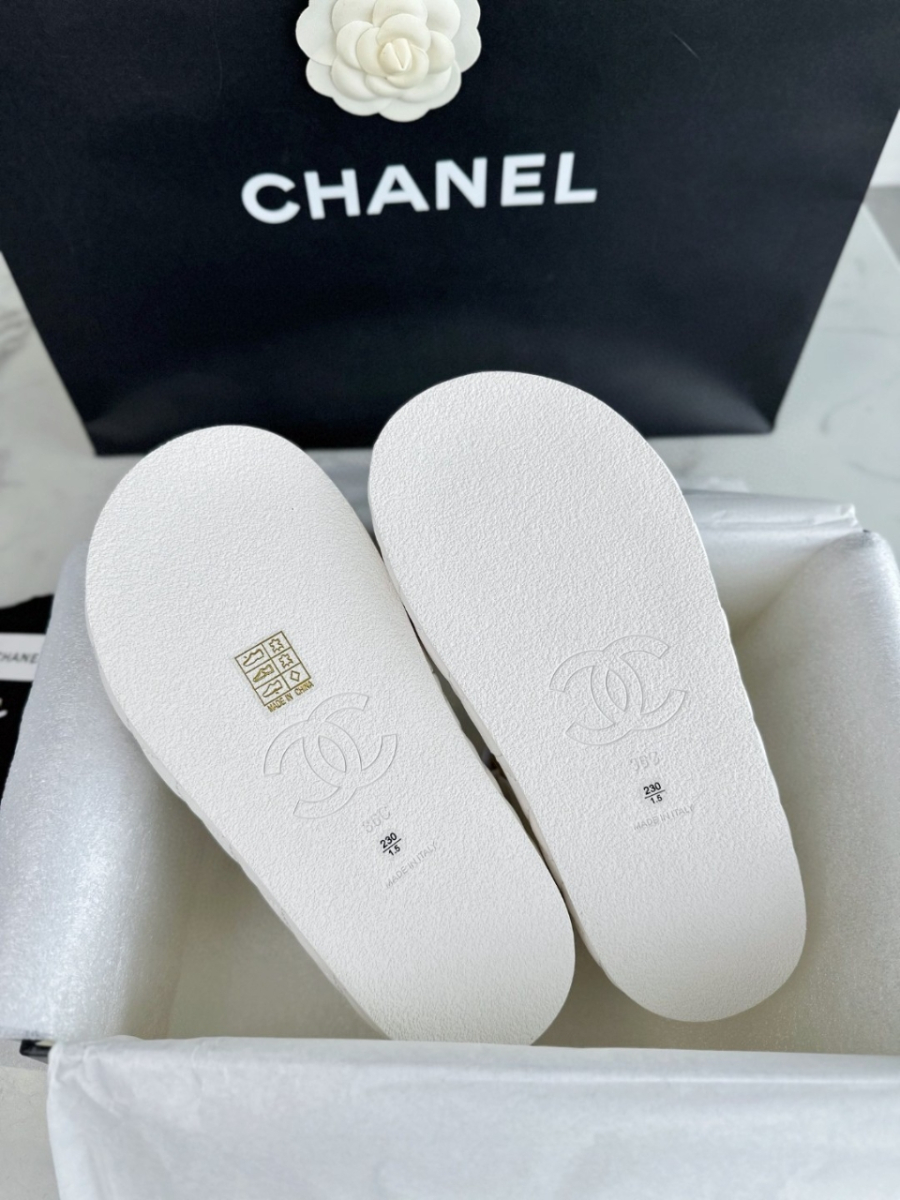 더미러THE Mirror_사진_20260316_9.jpg