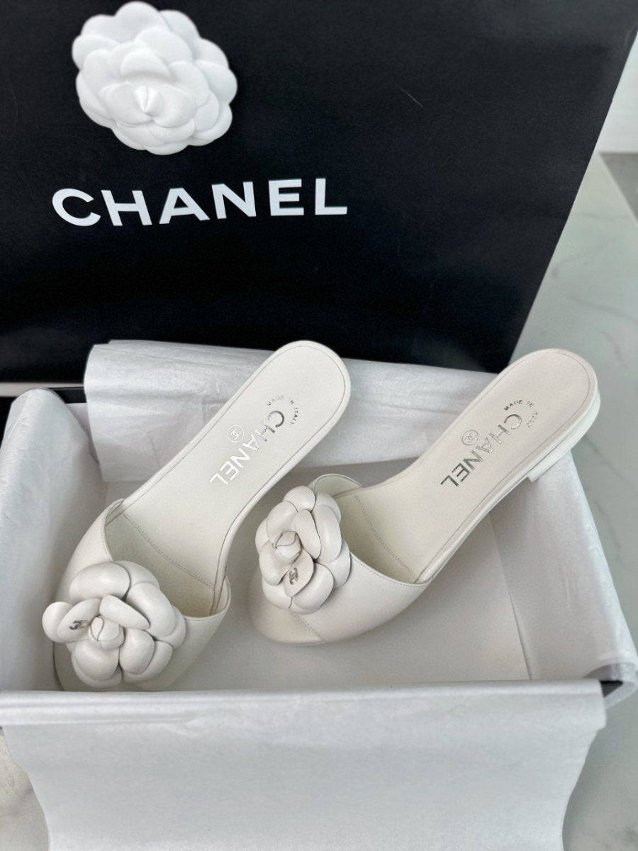 더미러THE Mirror_사진_20260316_5.jpg